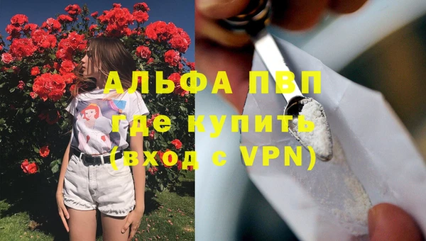 apvp Алзамай