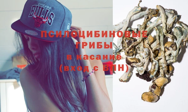 apvp Алзамай