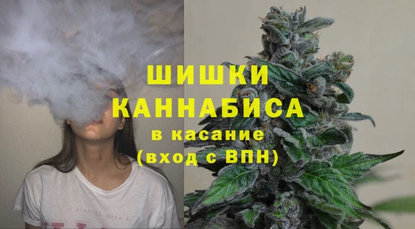 apvp Алзамай