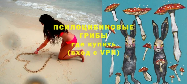 apvp Алзамай