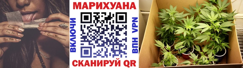 дарнет шоп  KRAKEN зеркало  Бошки марихуана сатива  Дзержинский 